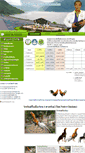 Mobile Screenshot of kaichonthailandfight.com